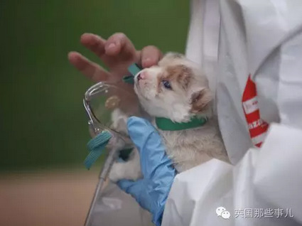 校花公交车被多人伦