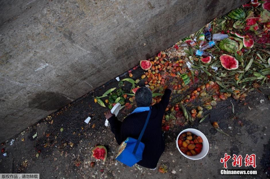 台灣小模