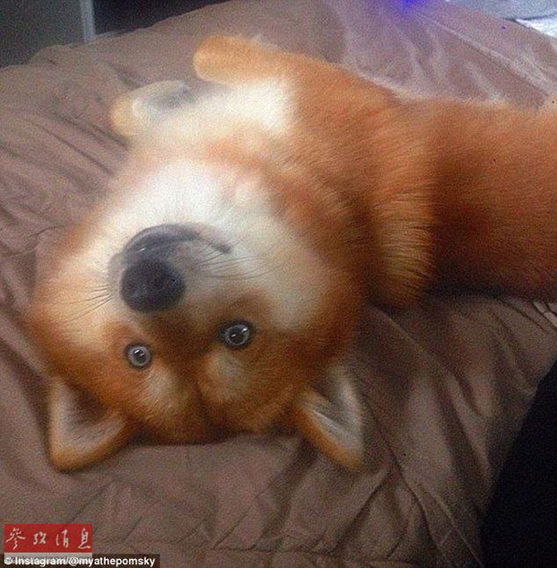 亚州成人