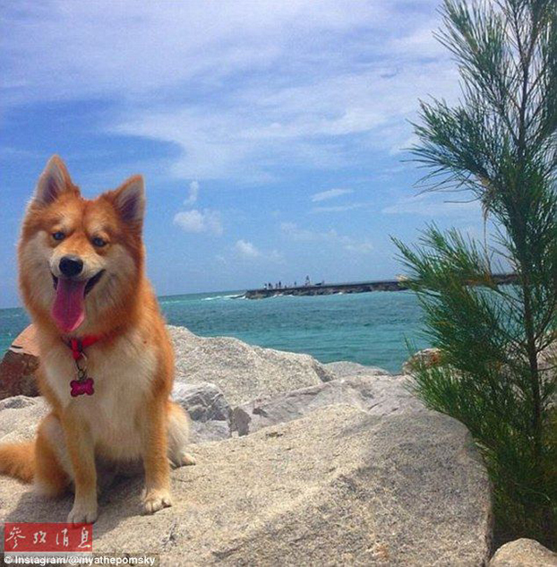 可以下载的黄色网站。