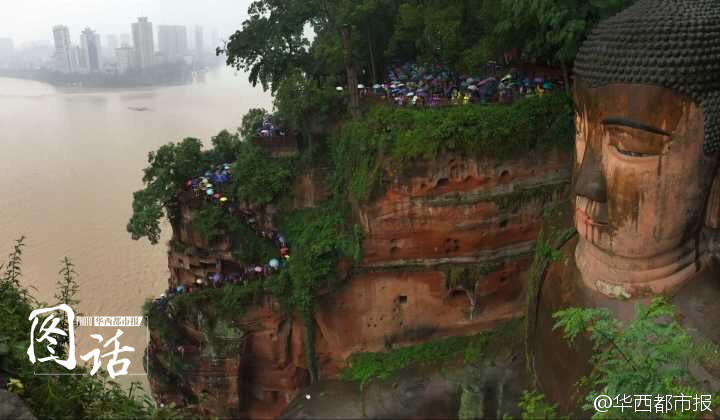 中国老太浓毛毛茸毛