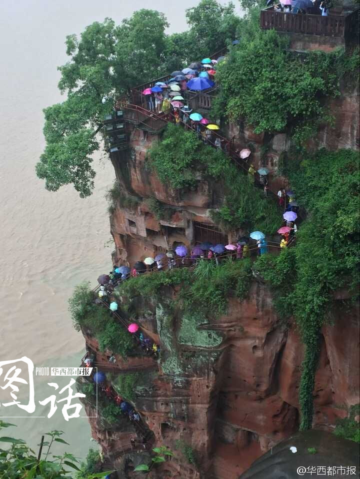 用什么播放器看黄片是免费的