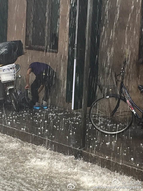 日本大隂户特写P