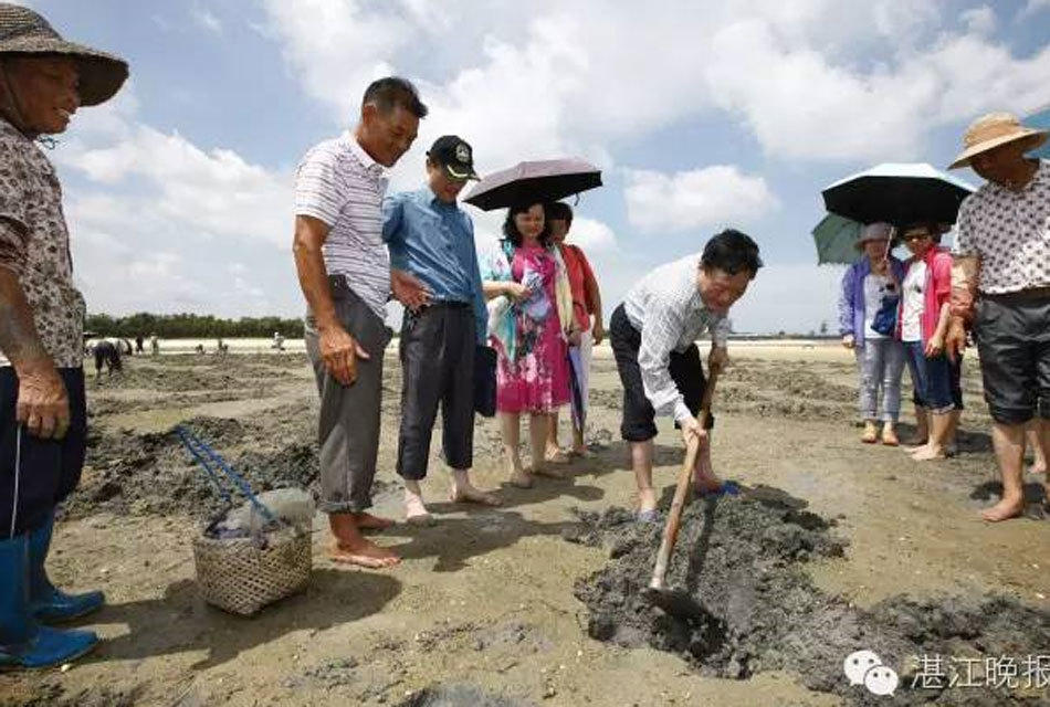 中国老太婆性妓女沙滩Hd