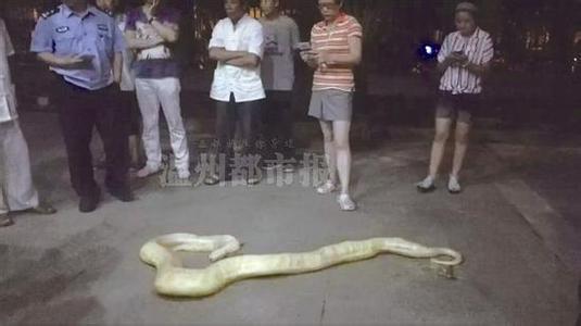 大陆 成人 影片