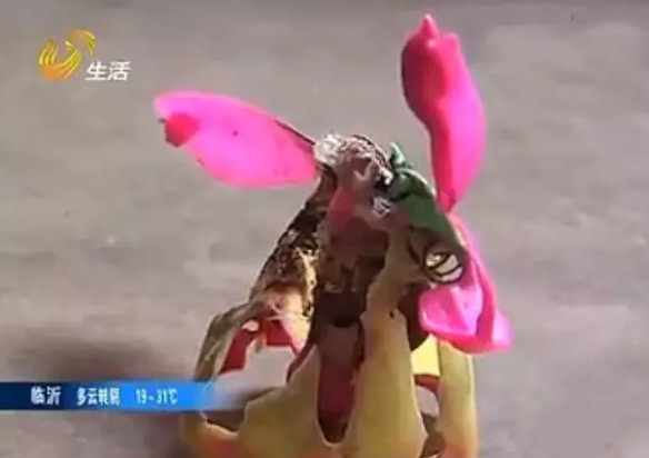 黄色三级毛片黄片黄片黄片
