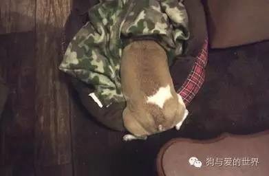 欧美乱伦淫片视频