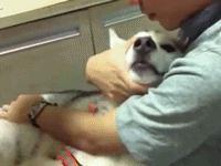 大白屁股撒尿XXXXSSSS