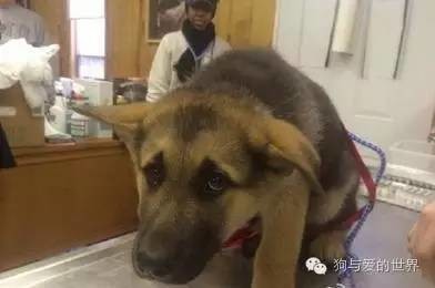 高清黄色片