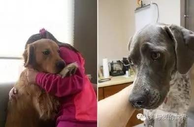 性插免费视频台湾