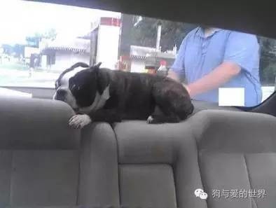 日本护士的毛