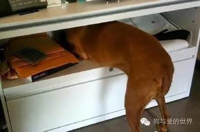 国产在线性色网站