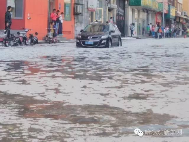 靠逼软件大全