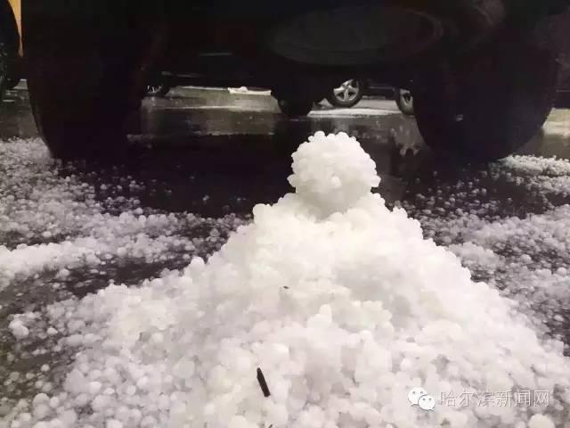 竹內麻耶