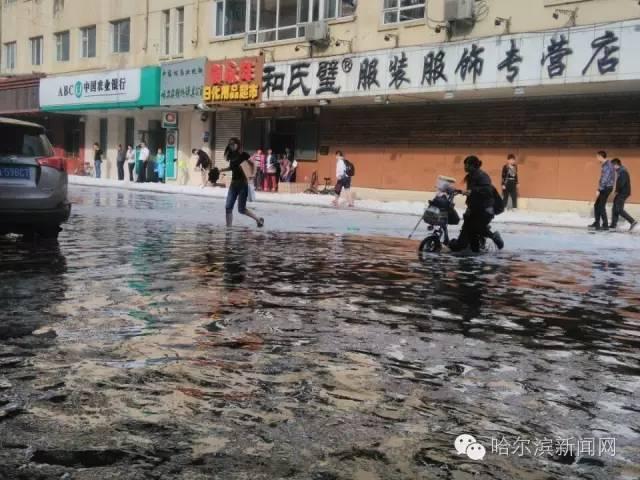 免费黄片儿。
