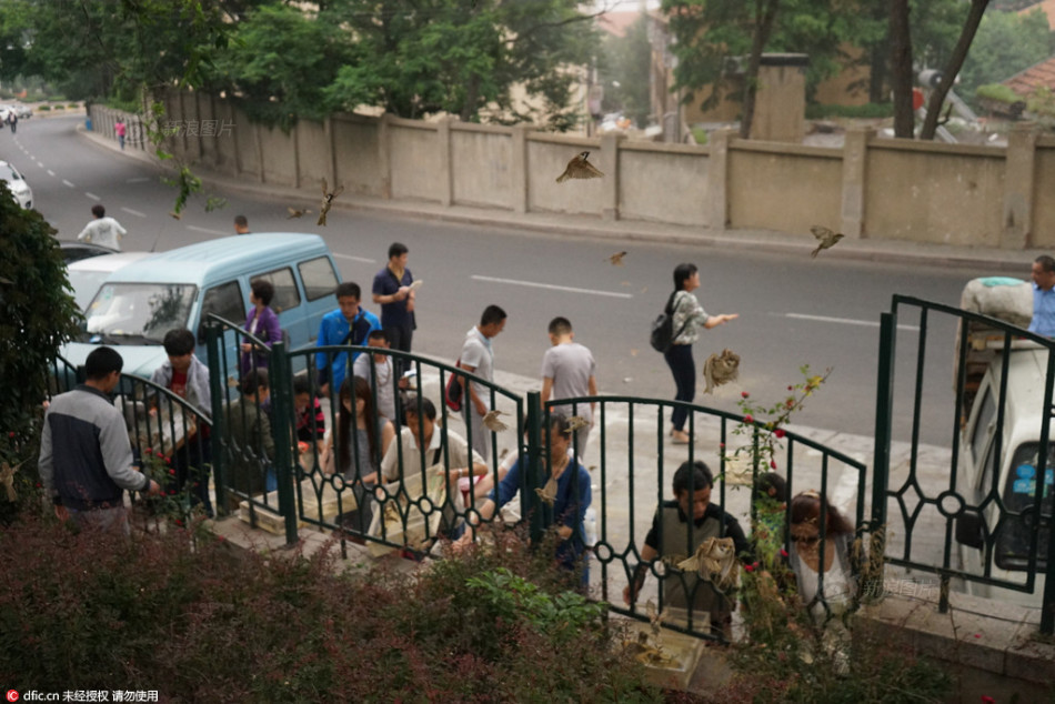 亚洲妇女无套内 精汇编天美传媒