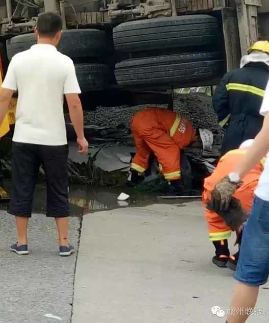 男人日女人软件