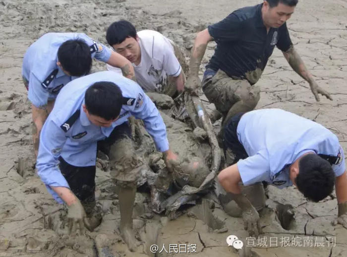 狂野少女高清免费观看第14集