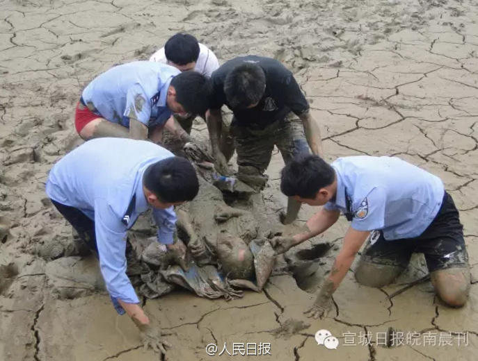 97福利视频