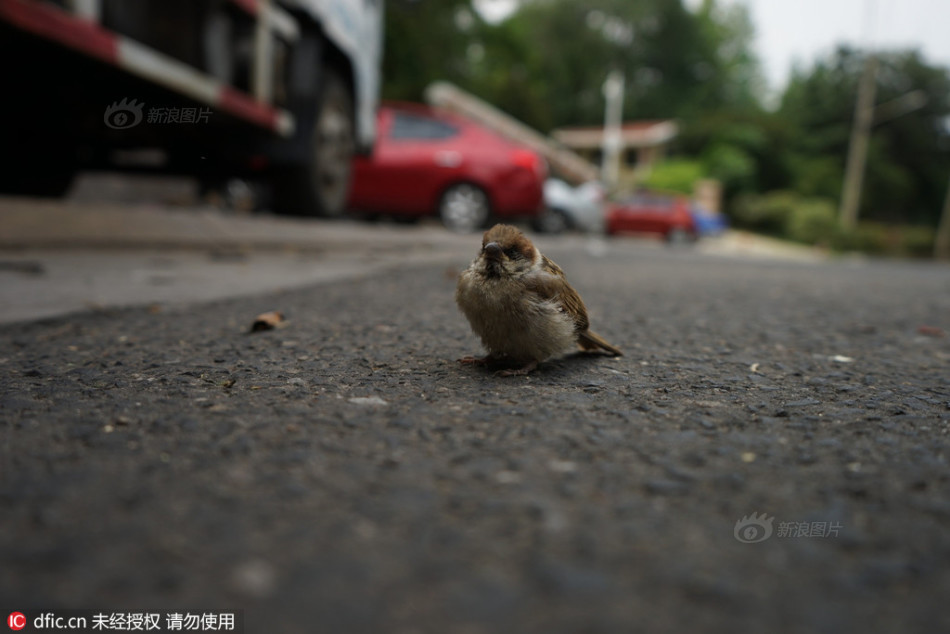 性 成人 电影