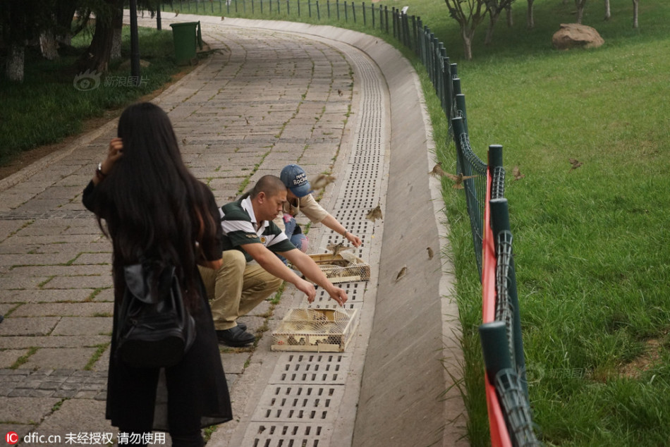 小舅子