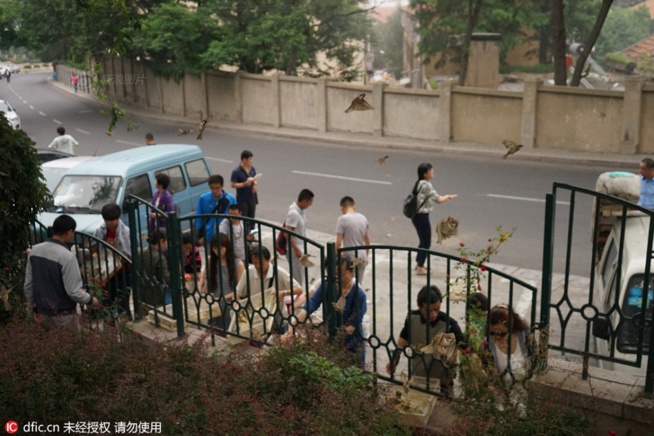 脱了老师裙子猛烈进入