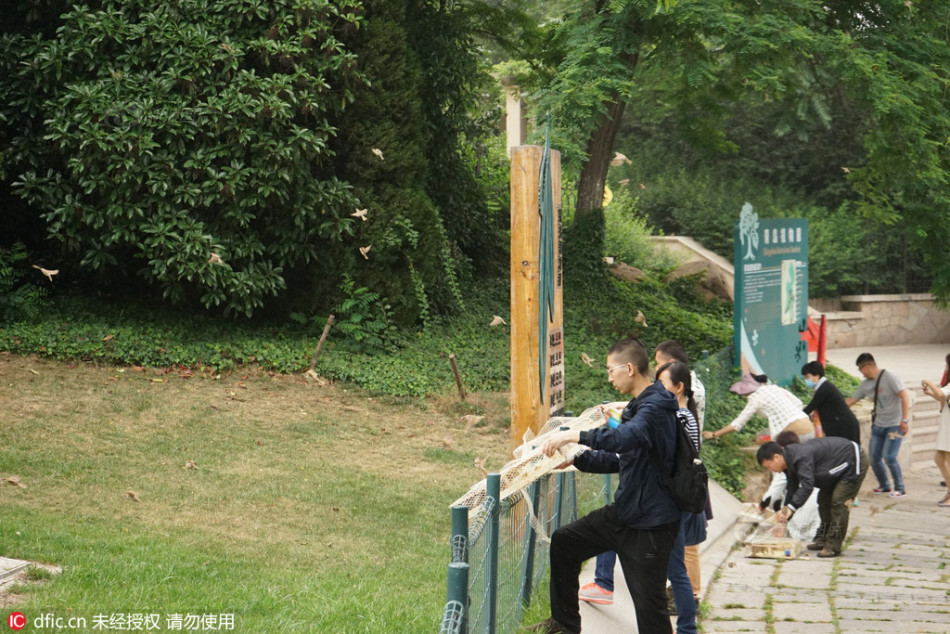 成人 在线 免费 电影