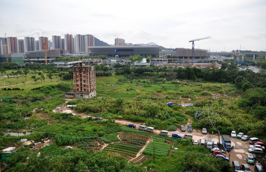 汤姆叔叔桃红色温馨提示语