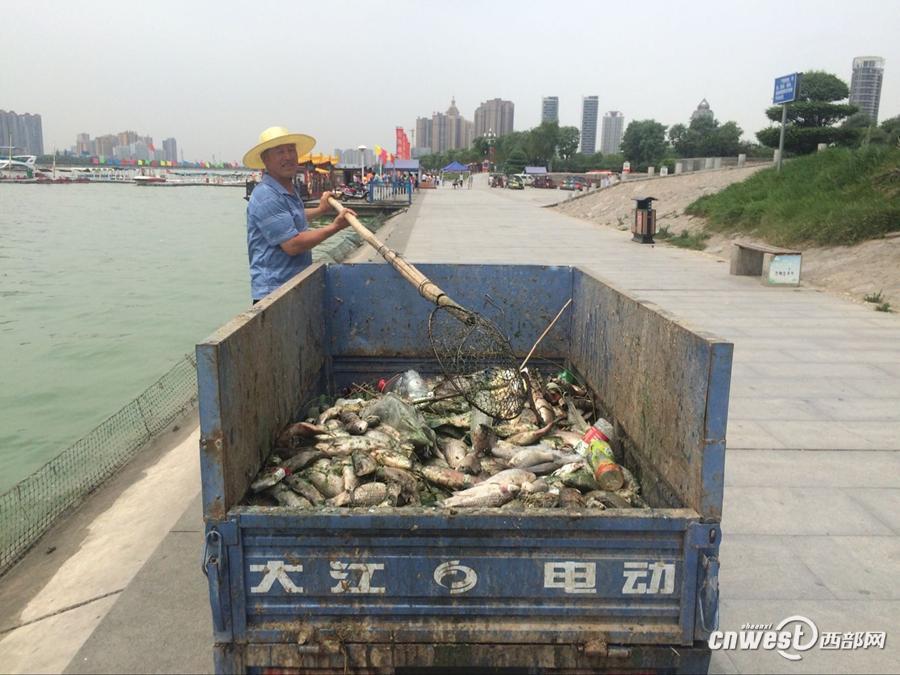 欧亚精品高清免费视频