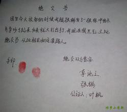 y44800伦理