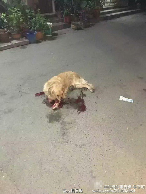 欧熟妇高潮Xxxxx大屁股