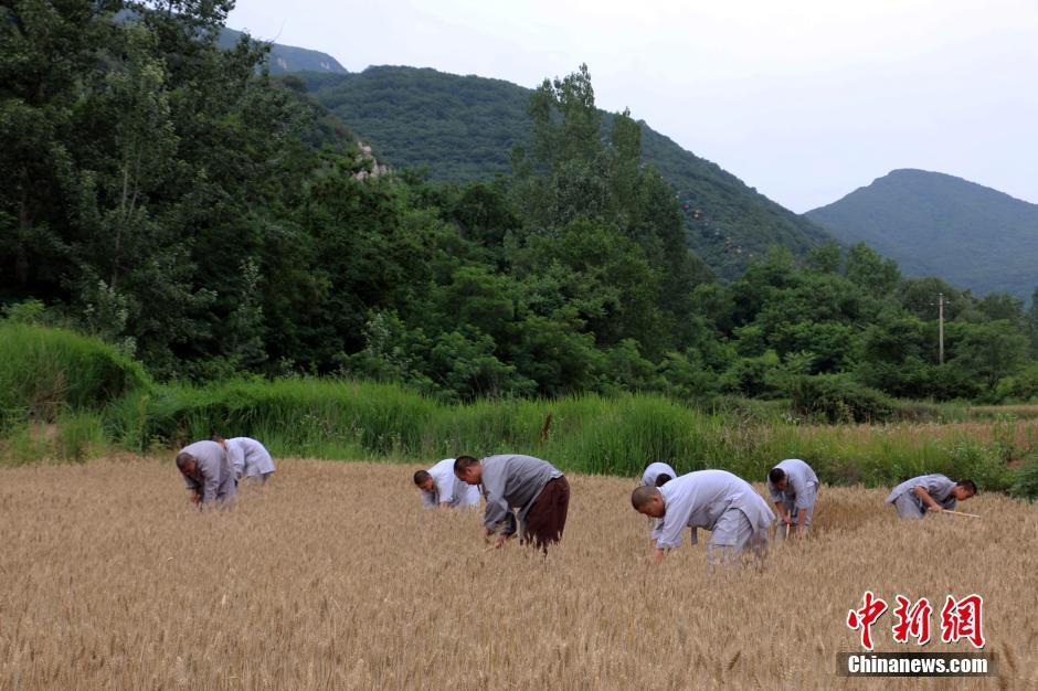 国产农村一级毛卡片免费