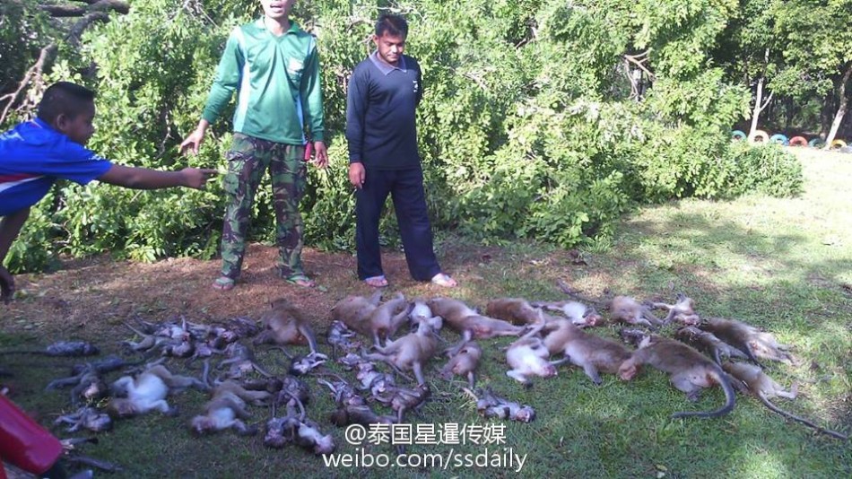 1069男鸭全部裸体