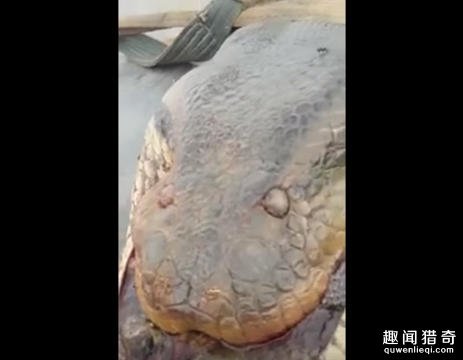 91看片 色情影片 - XXX Vedios