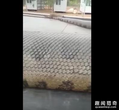 日本丰满熟妇子伦