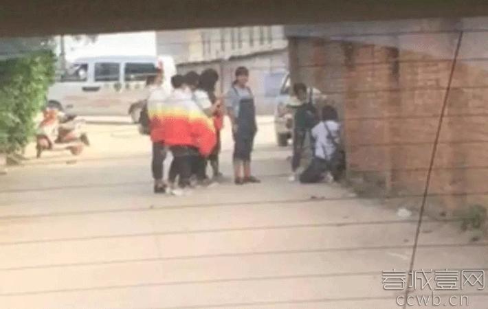 黄金软件下载3.0.3免费安装