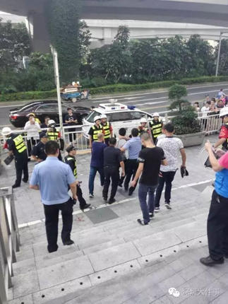 免费的黄色网站。