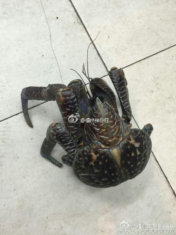 外出按摩