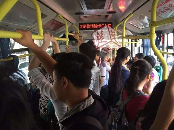 缅北在线观看www网站入口