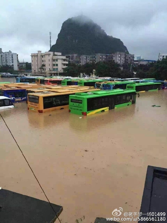 樱羽和佳
