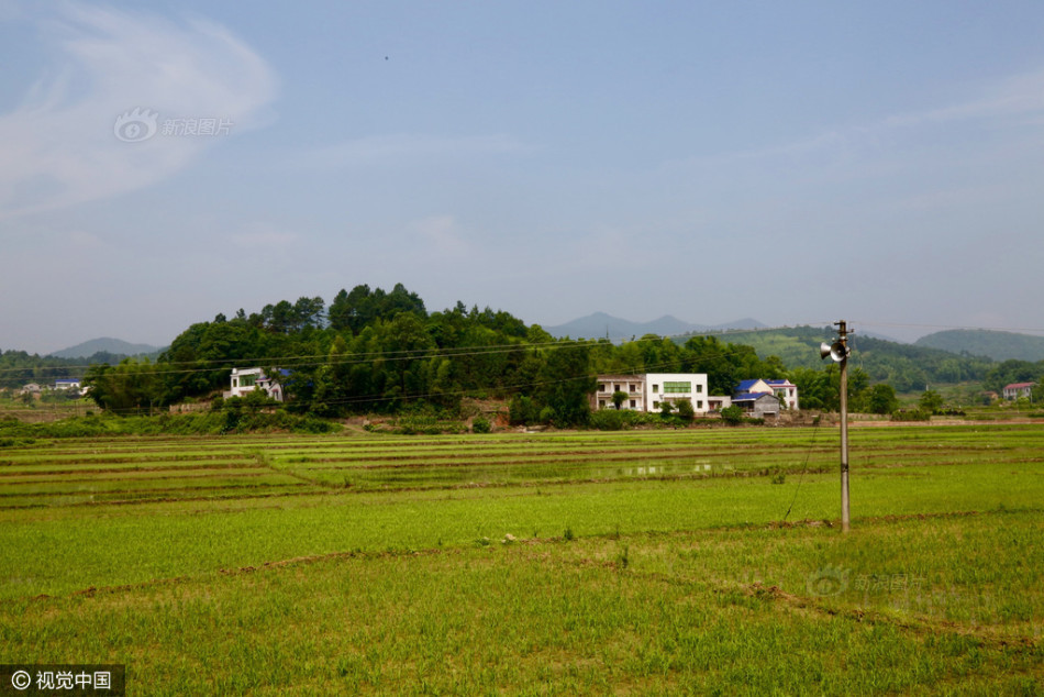 草榴