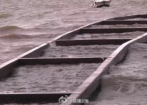 四川少妇搡BBw搡BBBB搡