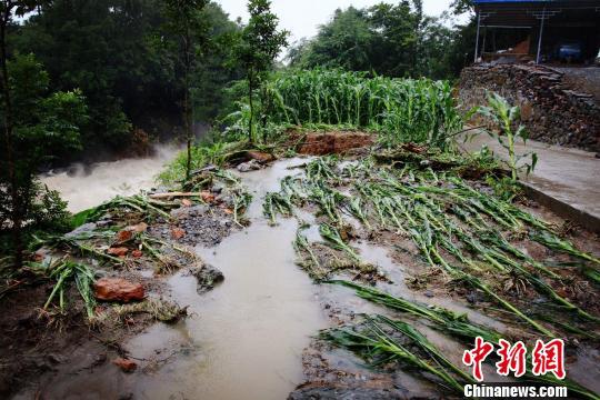 亚洲成人小说