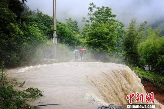 台湾同性禁电影