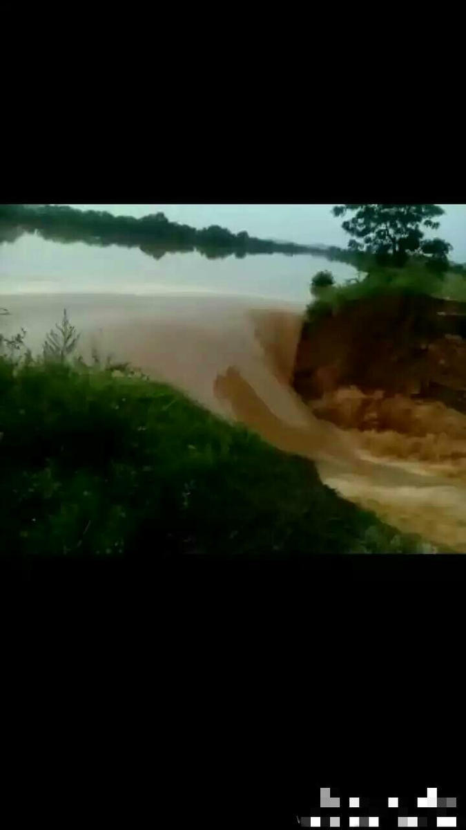 南波杏