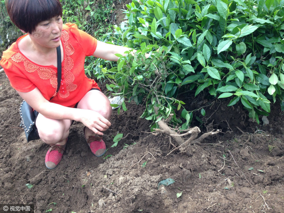 苍井空一级婬片50分钟