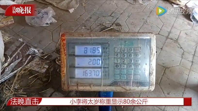 岛国视频黄色网站