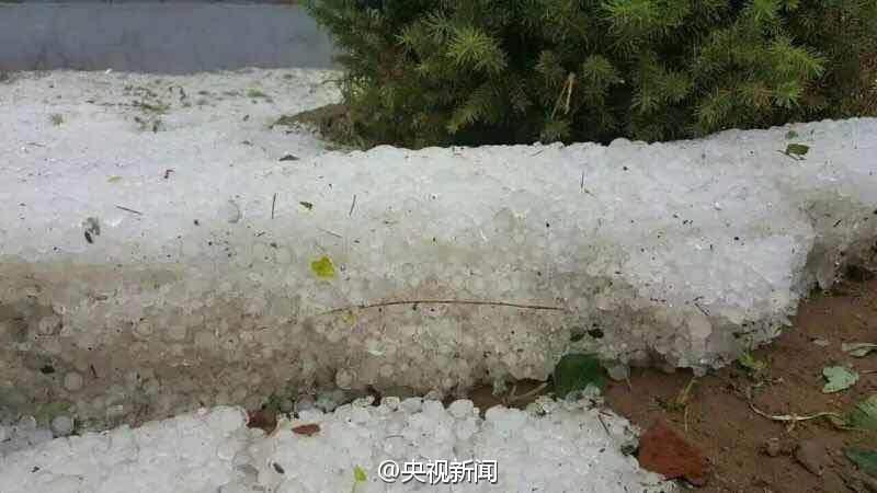 免费黄漫