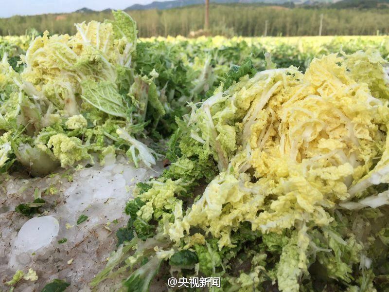 彩虹版gtv全球最好g平台下