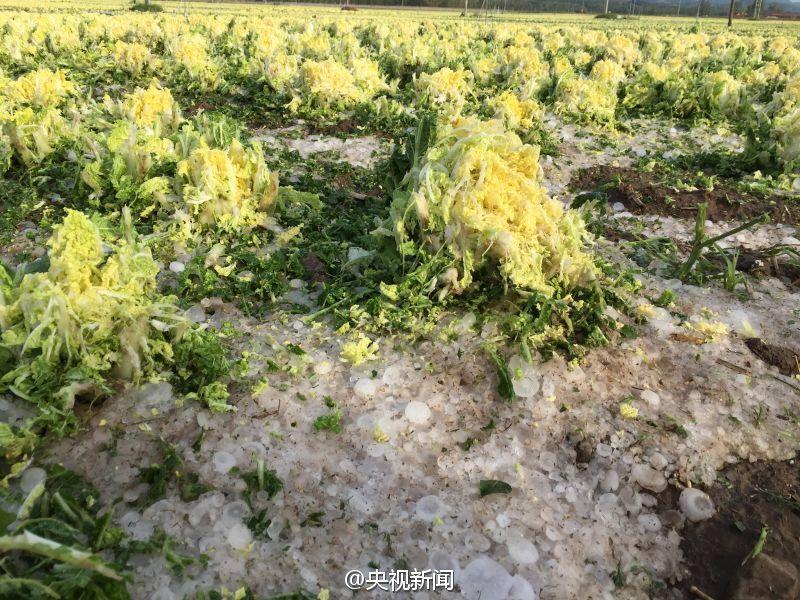 国产精品视频一区二区三区,